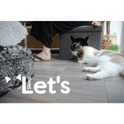 Let's Sleep Pet Cube Licht/donker Grijs -Dierenwinkel 136060