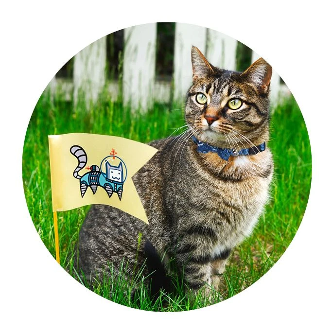 Pawise Cat Collar Met Bowknot Rood 3 Pawise Cat Collar Met Bowknot Rood