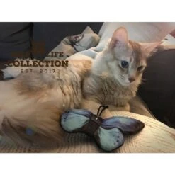 Wild Life Cat Blue Butterfly (Blauwe Vlinder) -Dierenwinkel 136309