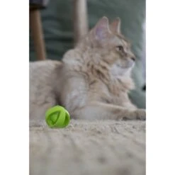 Crazy Cat Wacky Wobbler Groen -Dierenwinkel 260312