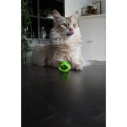 Crazy Cat Wacky Wobbler Groen -Dierenwinkel 260313