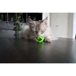 Crazy Cat Wacky Wobbler Groen -Dierenwinkel 260314