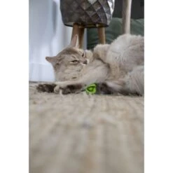 Crazy Cat Wacky Wobbler Groen -Dierenwinkel 260323