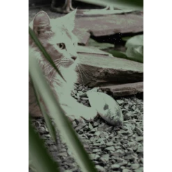 Totally Hooked Mackerel S 20cm -Dierenwinkel 260857