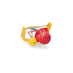 Pawise Bird Scoot The Ball -Dierenwinkel 261240