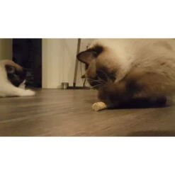 Addicted Sticks 2 Pcs -Dierenwinkel 261710