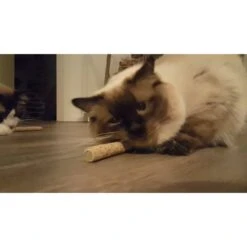 Addicted Sticks 2 Pcs -Dierenwinkel 261711