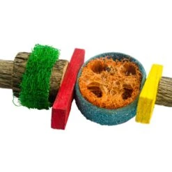 Birrdeeez Papegaai Speelgoed Rondhout/zaad Small -Dierenwinkel 261996