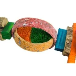 Birrdeeez Papegaai Speelgoed Rondhout/zaad Small -Dierenwinkel 261997