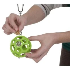 JW HOL-EE Roller For Birds -Dierenwinkel 263893