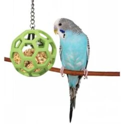 JW HOL-EE Roller For Birds -Dierenwinkel 263895