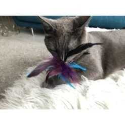 Wooly Luxury Feather Dream Cork Purple -Dierenwinkel 268033