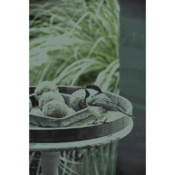 Feather World Insecten Mezenbol Incl. Net (rood) 6 St -Dierenwinkel 269544