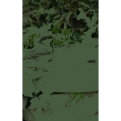 Feather World Insecten Mezenbol Incl. Net (rood) 6 St -Dierenwinkel 269545