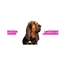 Milbemax Tabletten Kitten/Kat Klein R 2 Tabl. 0,5-2kg 2 St 10 Milbemax Tabletten Kitten/Kat Klein R 2 Tabl. 0,5-2kg 2 St -Dierenwinkel 270691 8