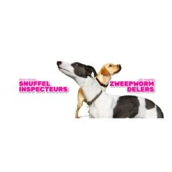 Milbemax Tabletten Kat Groot 2 Tabl. >2kg 2 St -Dierenwinkel 270692 6