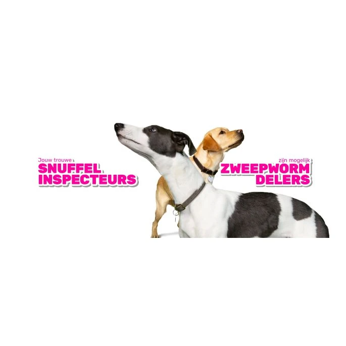 Milbemax Tabletten Kat Groot 2 Tabl. >2kg 2 St 5 Milbemax Tabletten Kat Groot 2 Tabl. >2kg 2 St - Afbeelding 3