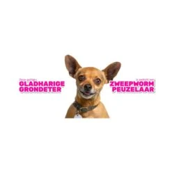 Milbemax Tabletten Kat Groot 2 Tabl. >2kg 2 St -Dierenwinkel 270694 4