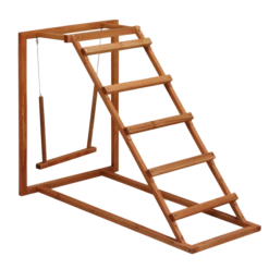 Gaun Chicken Activity Center