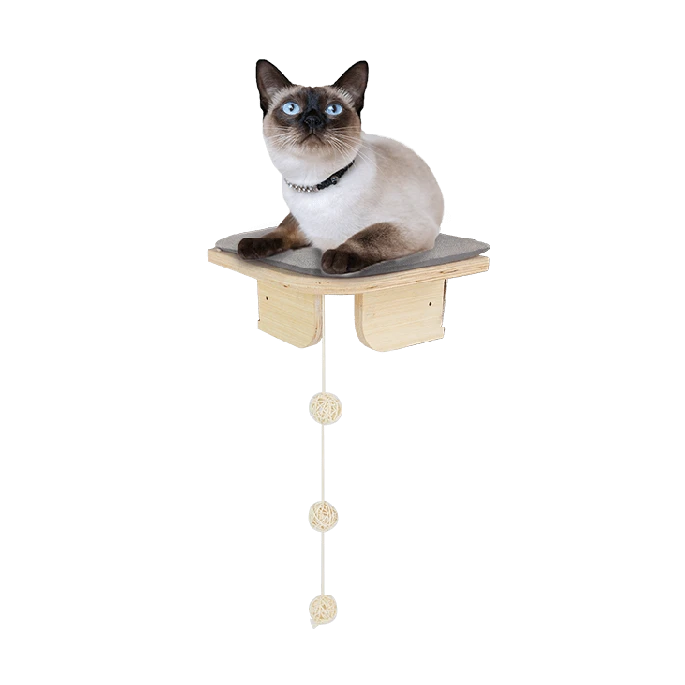 AFP Skywalk - Corner Platform 3 AFP Skywalk - Corner Platform