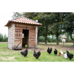 Lax Pikblok Voor Legkippen 8,5 Kg -Dierenwinkel 278957