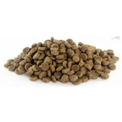 It's My Cat Outdoor 1 Kg -Dierenwinkel 32591491 imc45631 det4