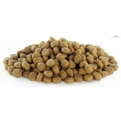 It's My Cat Senior 1 Kg -Dierenwinkel 32591508 imc45641 det4