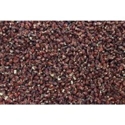 Mais Bordeau Rood -Dierenwinkel 34004112 dv0122 det3