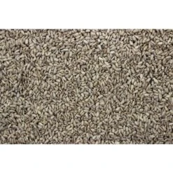 Zonnepitten Gepeld -Dierenwinkel 34020372 vv0265 det4