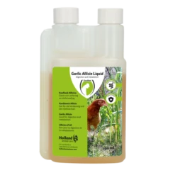 Excellent Garlic Allicin Liquid 250 Ml