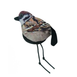 Wild Life Cat Sparrow (Mus)