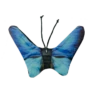 Wild Life Cat Blue Butterfly (Blauwe Vlinder) -Dierenwinkel 92962