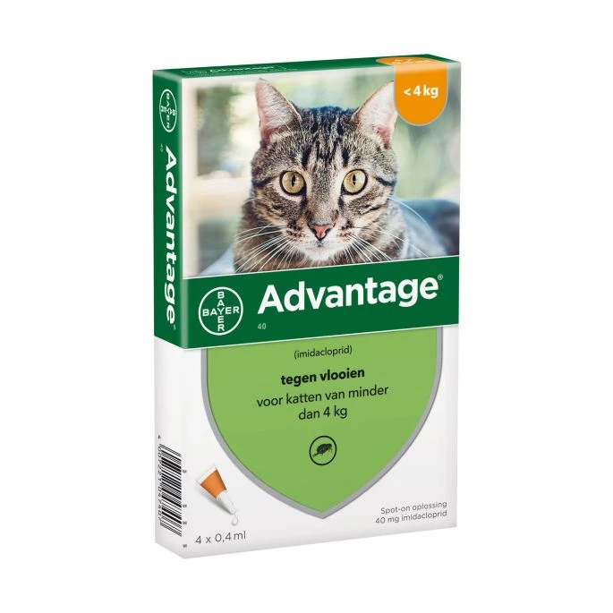 Advantage Kat 40 4 Advantage Kat 40 - Afbeelding 2