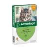 Advantage Kat 40 -Dierenwinkel b85931261 det0 1
