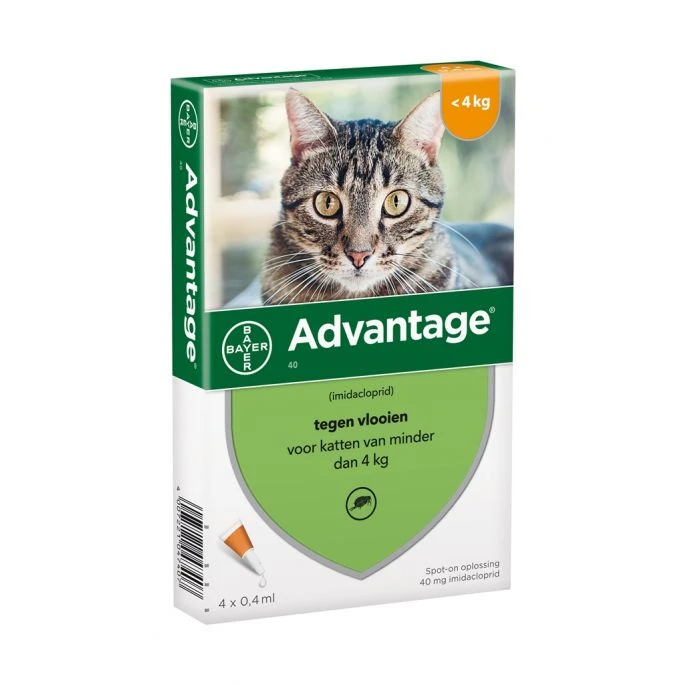 Advantage Kat 40 3 Advantage Kat 40