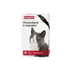 BEAPHAR Vlooienband Kat Zwart. Aantal: 1 Stuks.