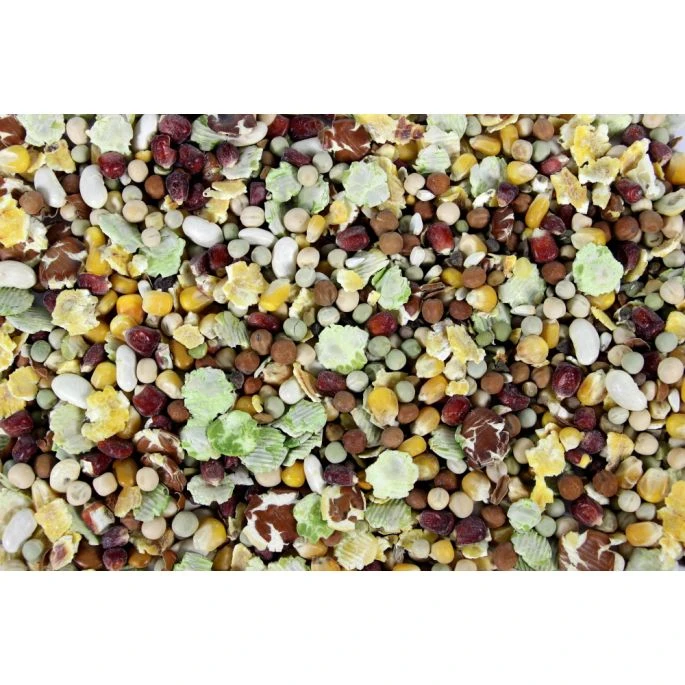 Pet Salad - Mexican Delight Vogel 6 Pet Salad - Mexican Delight Vogel - Afbeelding 4