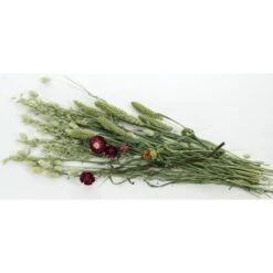 Pet Bouquet Weidegewas -Dierenwinkel e83110 det2