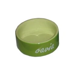 Cavia Eetbak Steen Groen. Inhoud: 1st. 12 Cm.