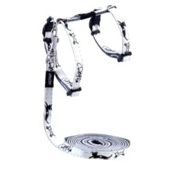 Brand GlowCat Tuig+Lijn Black Jumping Cat. Aantal: 1 Stuks. Maat: 8mm