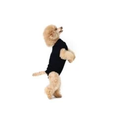 Recovery Suit Zwart XXSmall