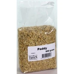 Paddy