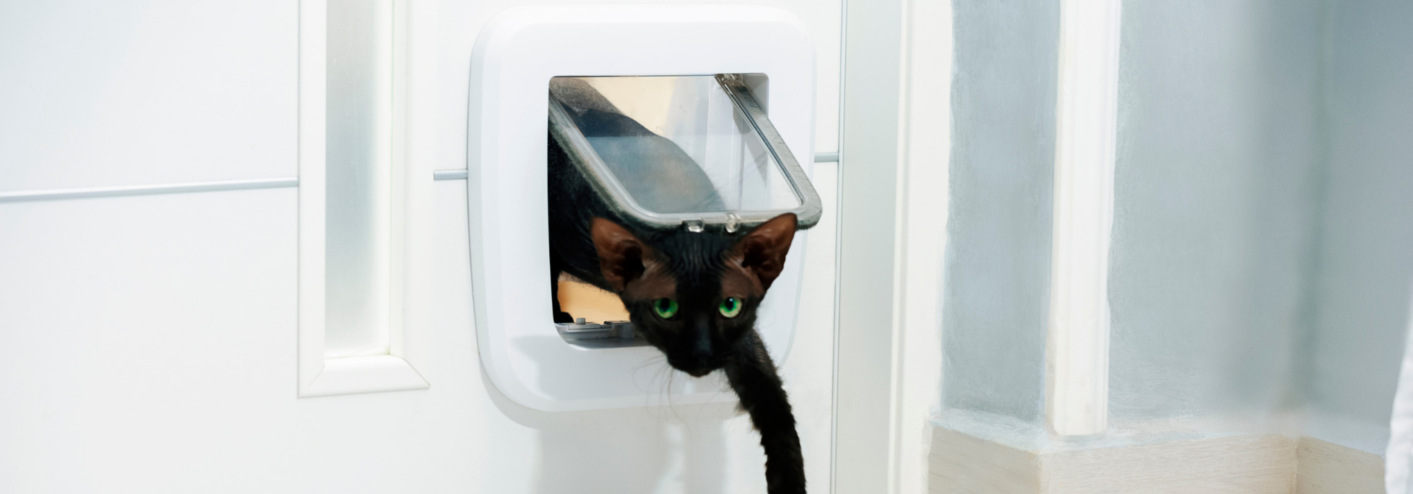 Dierenwinkel -Dierenwinkel 1